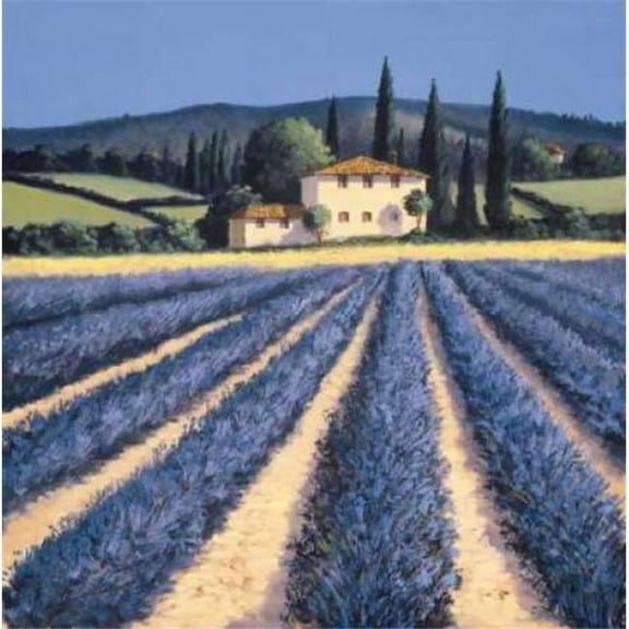 Colors of Summer Poster Print by David Short - 12 x 12 - Small