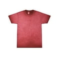thumbnail image 1 of Colortone Oil Wash T-Shirts Men Adult Sizes S to 3XL Cotton, 1 of 4