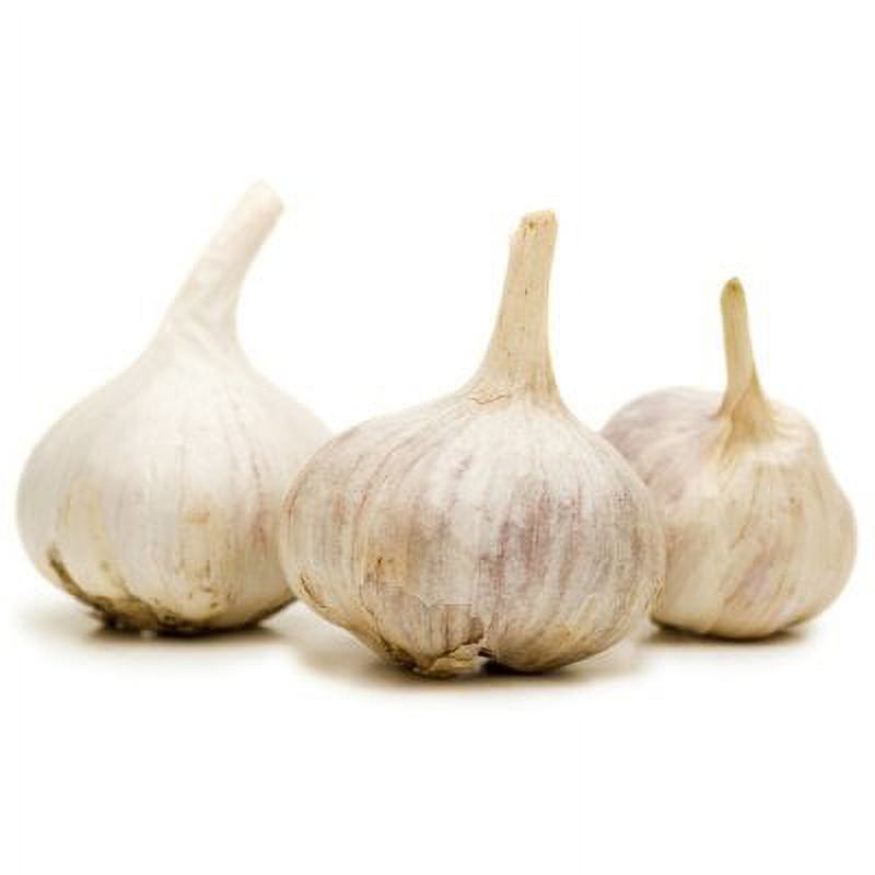 Colossal Garlic - 2 lbs. - image 1 of 1