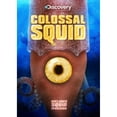 thumbnail image 1 of Colossal Squid (Widescreen), 1 of 3