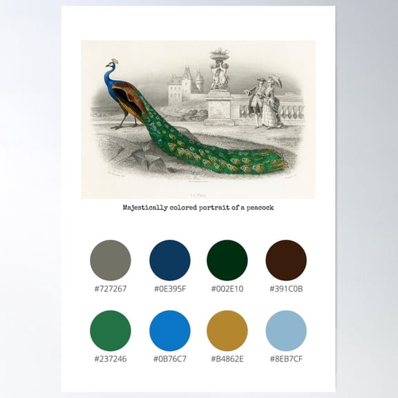 Colour Palette Of Majestically Colored Portrait Of A Peacock. Poster Wall Art, Modern Wall Decor For Living Room Bedroom, 16x24 UNFRAMED