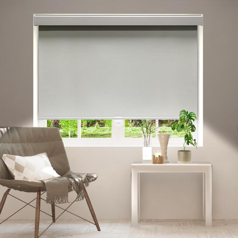ColourTree Cordless Blackout Roller Shades Blinds for Windows, Room Darkening with Thermal Insulated Fabric, UV Protection+, Easy Pull-Down System, Fit for Home, Office (25" W x 72" H, Grey)