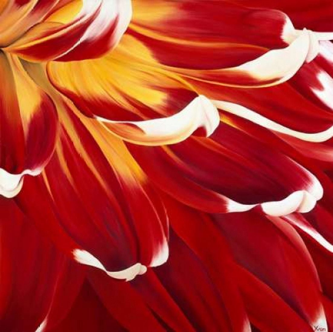Colourful Floral I Canvas Art - Yvonne Poelstra-Holzhaus (24 x 24)