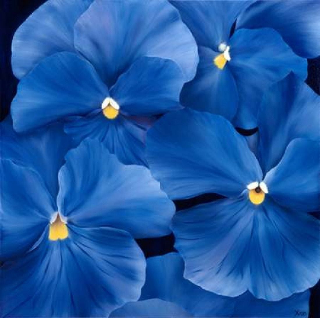 Colourful Floral III Canvas Art - Yvonne Poelstra-Holzhaus (24 x 24)