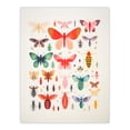 thumbnail image 1 of Colourful Insects and Bugs Bright Large Wall Art Poster Print Thick Paper 18X24 Inch, 1 of 5