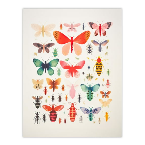 Colourful Insects and Bugs Bright Large Wall Art Poster Print Thick Paper 18X24 Inch