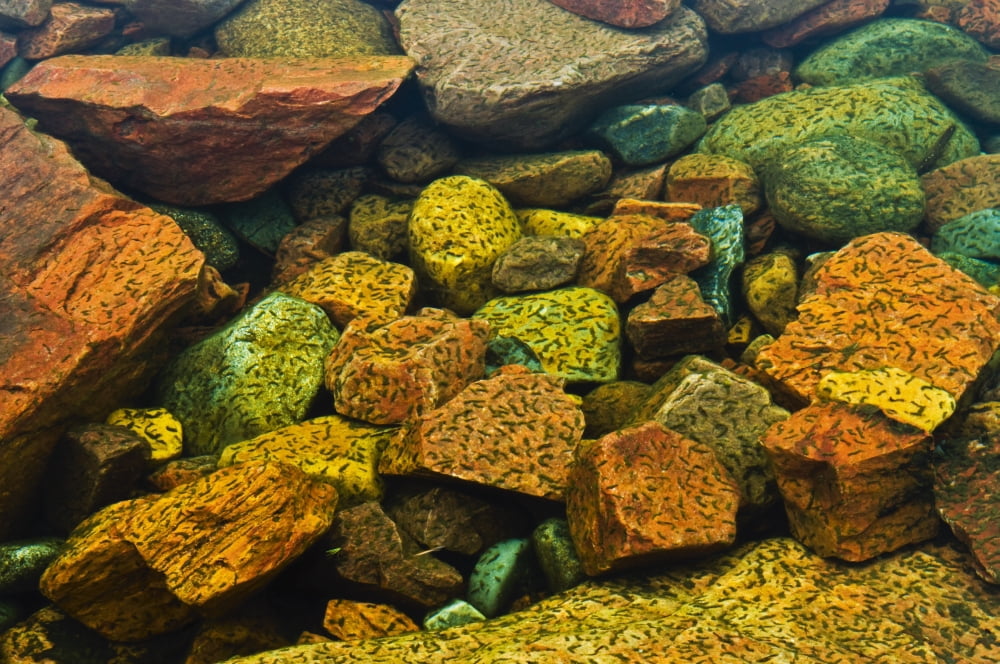 Colourful Rocks In A Pool Of Water Killarney Provincial Park Ontario Canvas Art - Mike Grandmaison Design Pics (18 x 12)