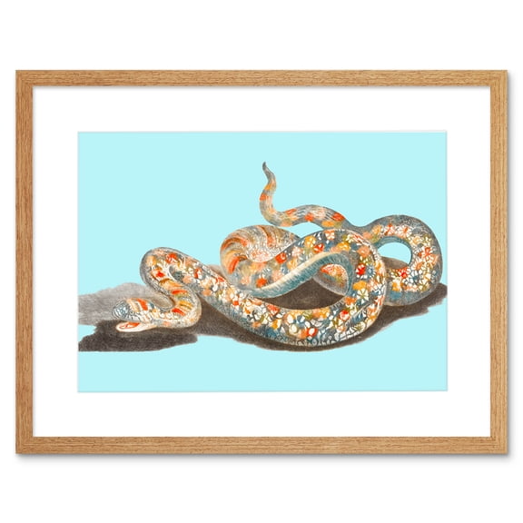 Colourful Snake Johan Teyler Art Print Black Framed Poster Wall Decor 9x7 inch