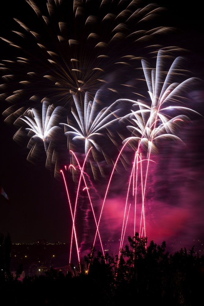 Colourful fireworks at nighttime Calgary Alberta Canada Canvas Art - Michael Interisano Design Pics (12 x 19)