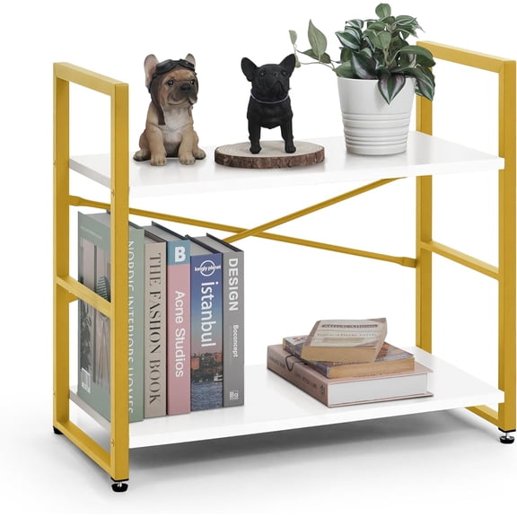 Colourfull 2 Tier Small Bookshelf, 24 Inch Width Free Standing Shelf, Bookcase Shelf Storage Organizer, Industrial Book Shelves for Home Office, Living Room, White Wooden Shelves & Gold Frame