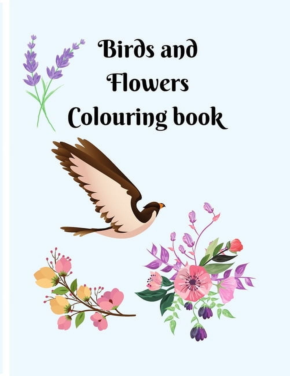 Colouring bird and flower book (Paperback)