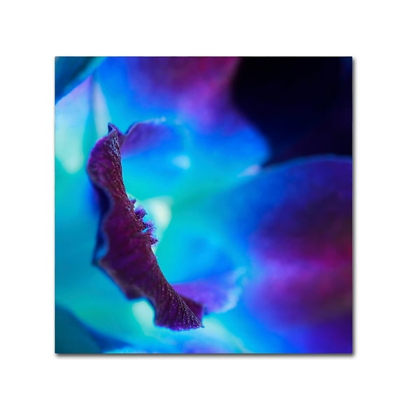 "Colours of Tomorrow" Canvas Art by Beata Czyzowska Young