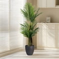thumbnail image 1 of Colourtree 60 inch Artificial Palm Tree for Outdoors - Triple Phoenix Palm, UV Resistant, Large Fake Silk Palm Tree - Perfect for Patio, Poolside, Home Indoor Aesthetic Decor, 1 of 5