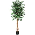 thumbnail image 1 of Colourtree 71 Inch Artificial Ficus Tree with Natural Wood Trunk, Silk Fake Ficus Tree in Plastic Nursery Pot, Faux Plant for Office Home, Indoor Outdoor Decor, 1 of 7