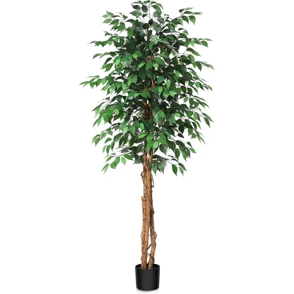 Colourtree 71 Inch Artificial Ficus Tree with Natural Wood Trunk, Silk Fake Ficus Tree in Plastic Nursery Pot, Faux Plant for Office Home, Indoor Outdoor Decor