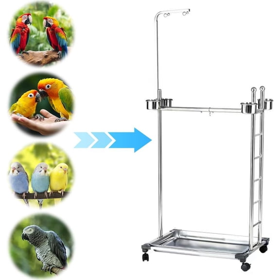 Colourtree Metal Parrot Stand with Feeding Bowls Large Bird Playstand with Wheels Parrot Training Perch Stand Stainless Steel Bird Supplies
