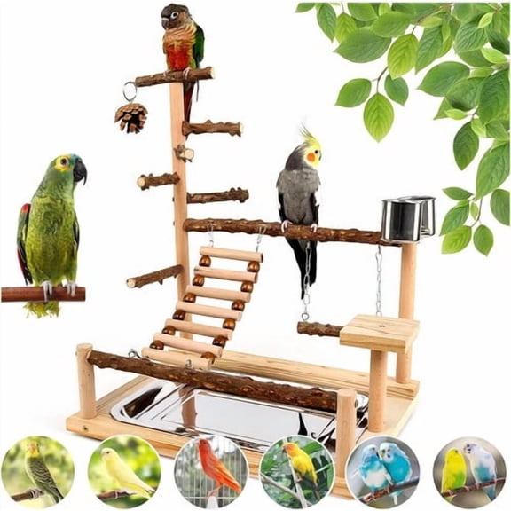 Colourtree Natural Wood Bird Play Stands for Cockatiel - Parrot Perch Stand with Removable Tray and 2 Stainless Steel Cups, Parrot Swing