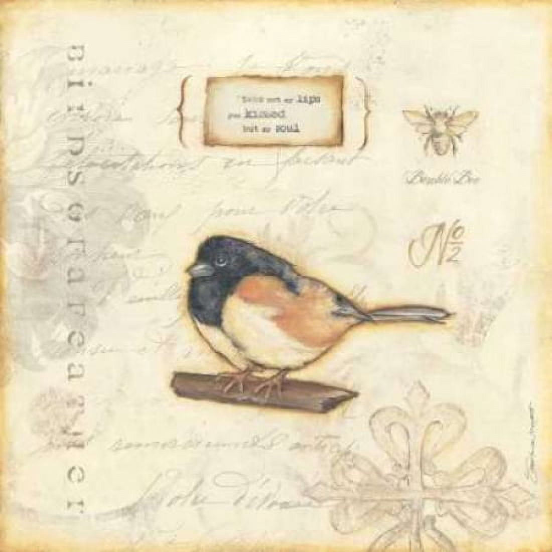 Colro Bird II Canvas Art - Stephanie Marrott (24 x 24)