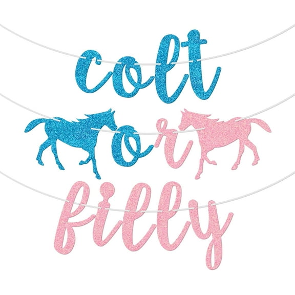 Colt or Filly Banner, Gender Reveal Decorations, Boy or Girl, He or She, Blue or Pink Baby Shower Party Supplies, Horse Themed Baby Announcement Sign, Pre-Strung