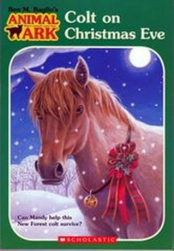 Christmas Colt