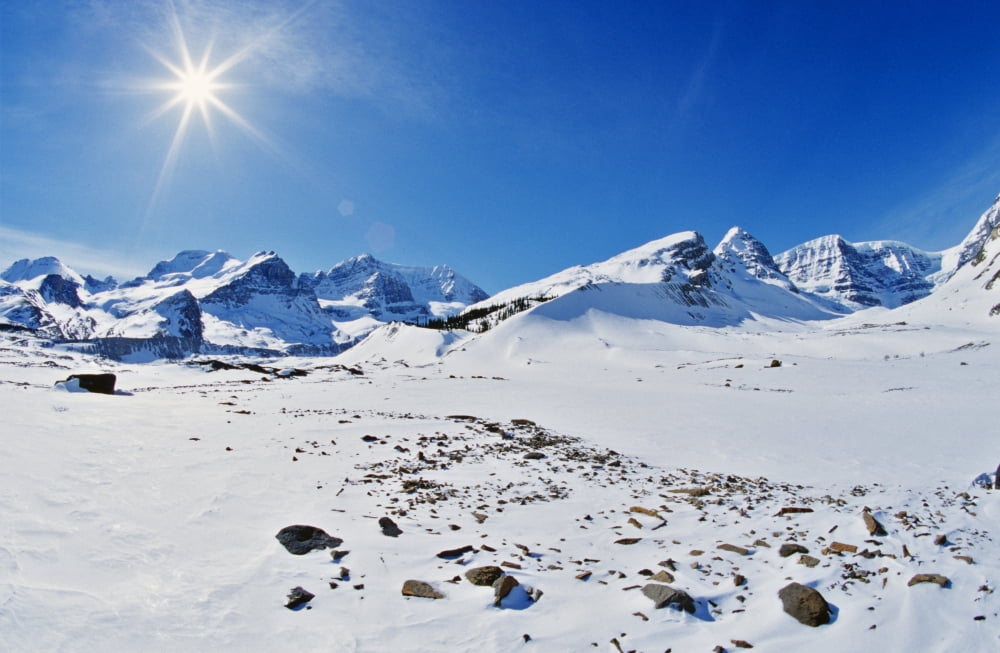Columbia Icefield In Winter Jasper National Park Alberta Canvas Art - Darwin Wiggett Design Pics (18 x 11)