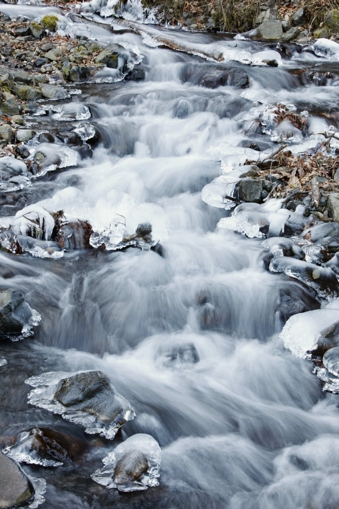 Columbia River Gorge National Scenic Area Oregon United States Of America A Creek Flowing In The Winter Canvas Art - Craig Tuttle Design Pics (12 x 19)