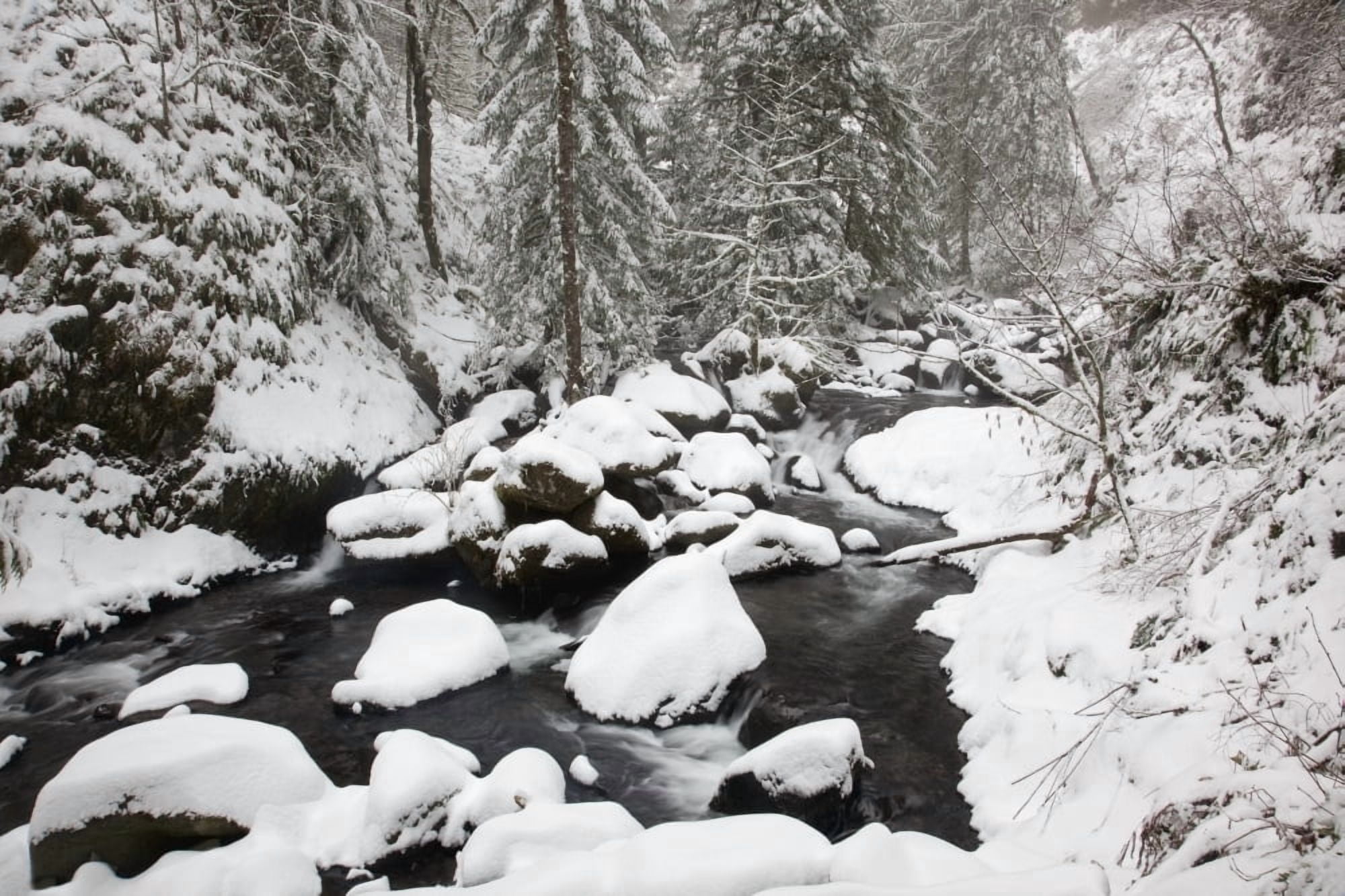 Columbia River Gorge National Scenic Area Oregon United States Of America Snow Covering The Ground And Rocks In A Creek Canvas Art - Craig Tuttle Design Pics (19 x 12)