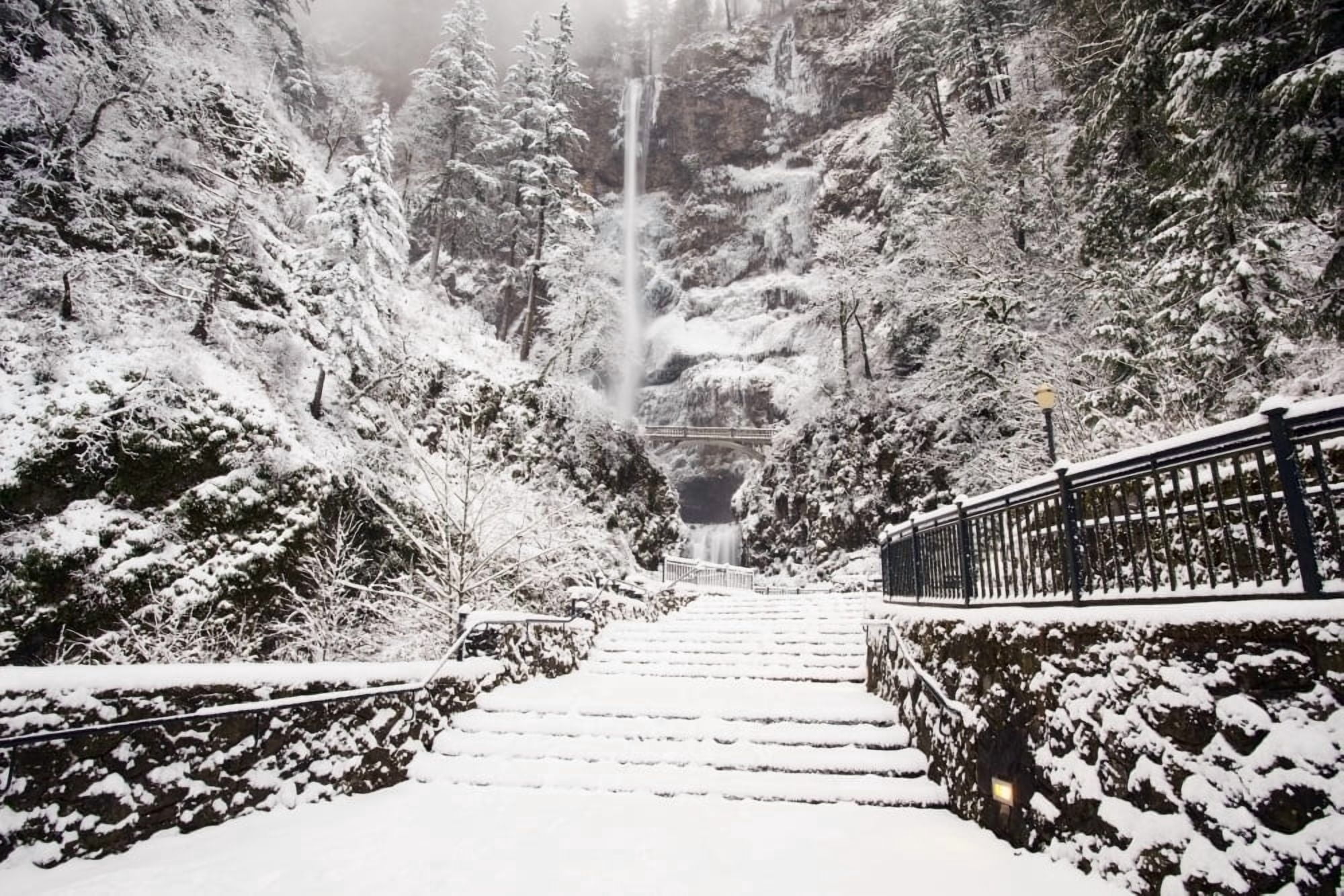 Columbia River Gorge National Scenic Area Oregon United States Of America Snow Covering The Steps Through The Forest Canvas Art - Craig Tuttle Design Pics (38 x 24)