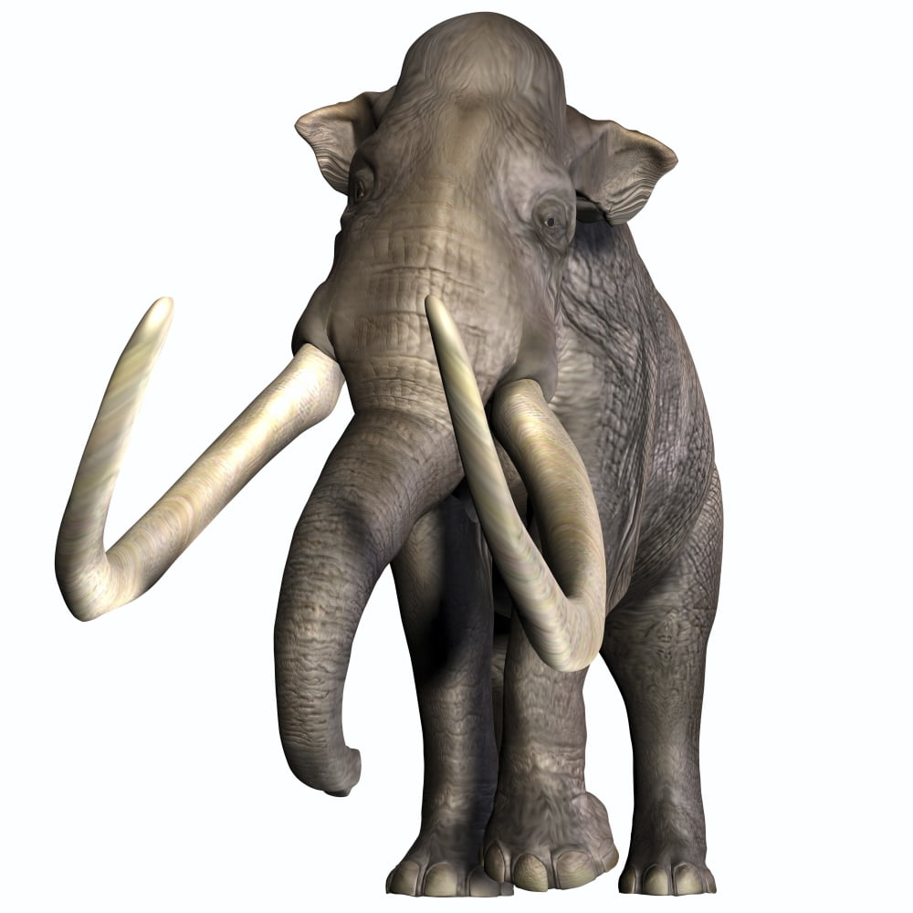 Columbian Mammoth Canvas Art - Corey FordStocktrek Images (29 x 29)
