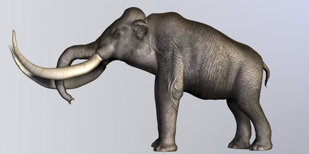 Columbian Mammoth Canvas Art - Corey FordStocktrek Images (40 x 20)