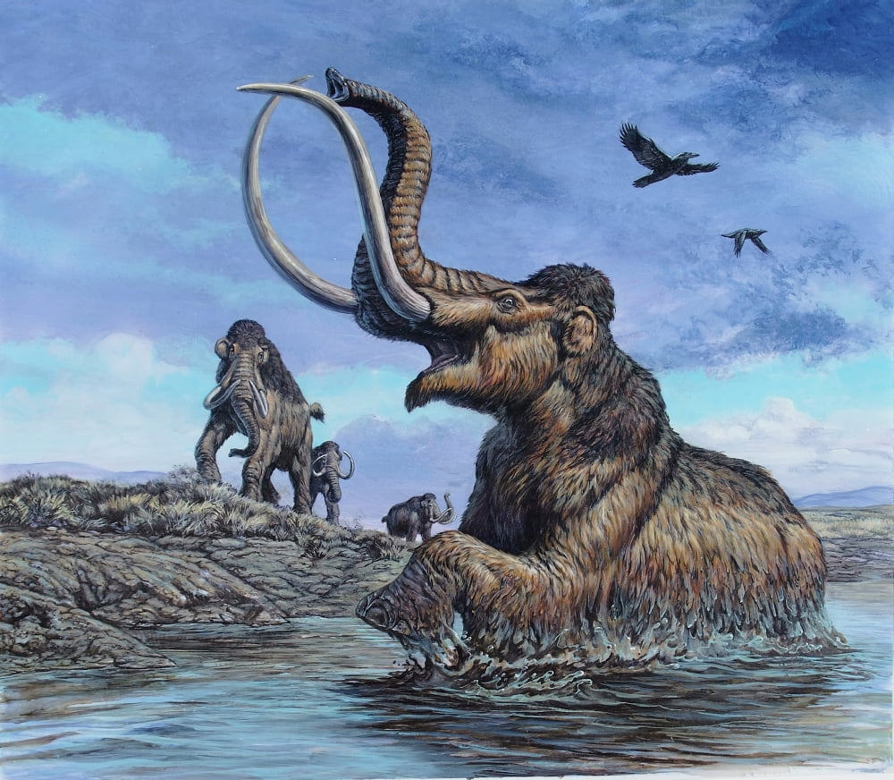 Columbian Mammoth trapped by asphalt at La Brea Tar Pits California Canvas Art - Mark HallettStocktrek Images (15 x 14)