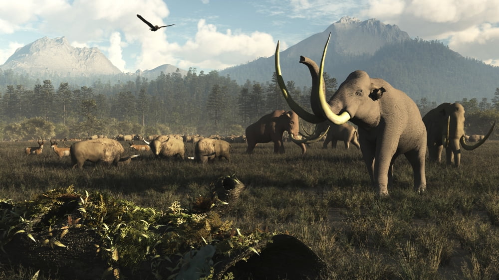 Columbian mammoths and bison roam the ancient plains of North America Canvas Art - Arthur DoretyStocktrek Images (19 x 11)