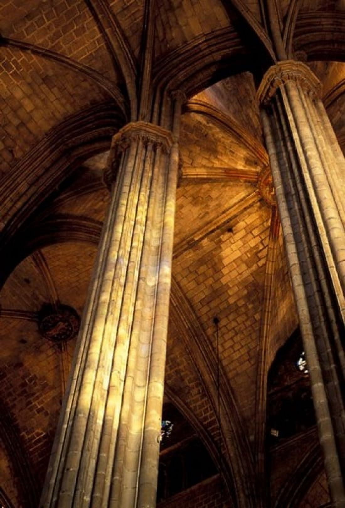 Columns and Ceiling of St Eulalia Cathedral Barcelona Spain Canvas Art - Michele Molinari DanitaDelimont (25 x 36)