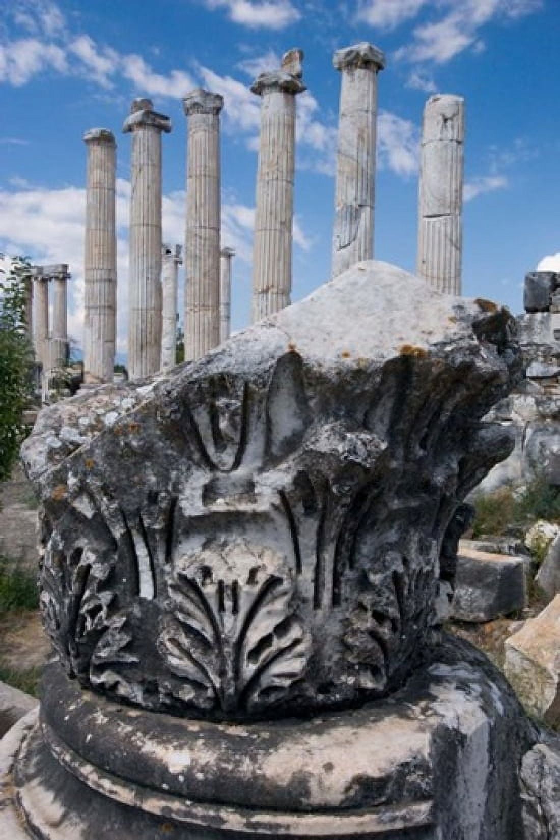 Columns and Relief Sculpture Aphrodisias Turkey Canvas Art - Darrell Gulin DanitaDelimont (18 x 26)