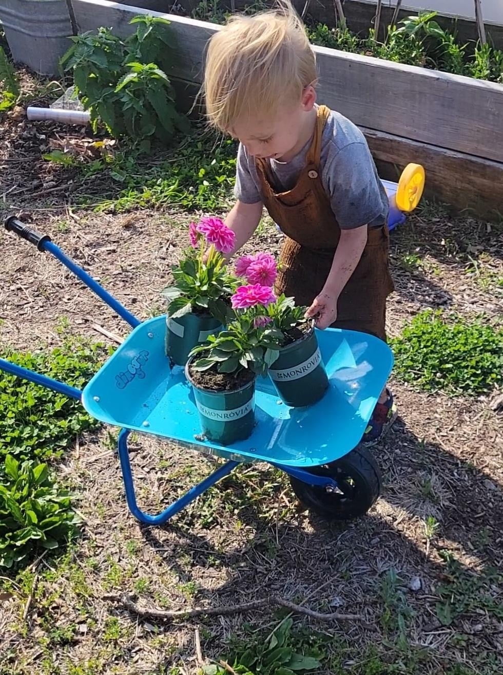 Colwelt Kids Wheelbarrow Set Metal 5 PCS, Blue Small Child wheelbarrow, Gardening Tools for Kids, Outdoor Indoor Garden Backyard Toy Gift for Children 3+Years Old