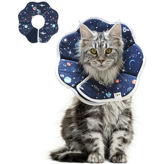 https://i5.walmartimages.com/seo/ComSaf-Soft-Cat-Recovery-Collar-Adjustable-Pet-Cone-Collar-for-Kitten-Puppy-After-Surgery-Preventing-from-Licking-Wounds-Not-Block-Vision_40bbaa26-dd1f-4c2b-afad-ad285b75aaf4.18f7911044f4091ffa577bbe2118a0a8.jpeg?odnHeight=320&odnWidth=320&odnBg=FFFFFF