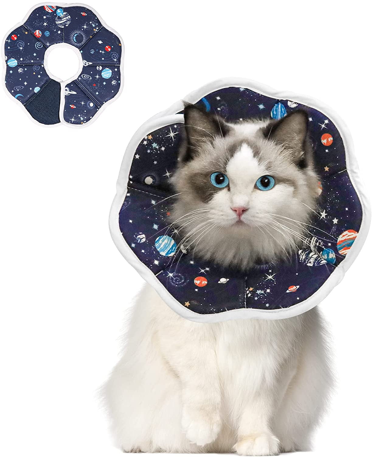 Soft cat collar store cone