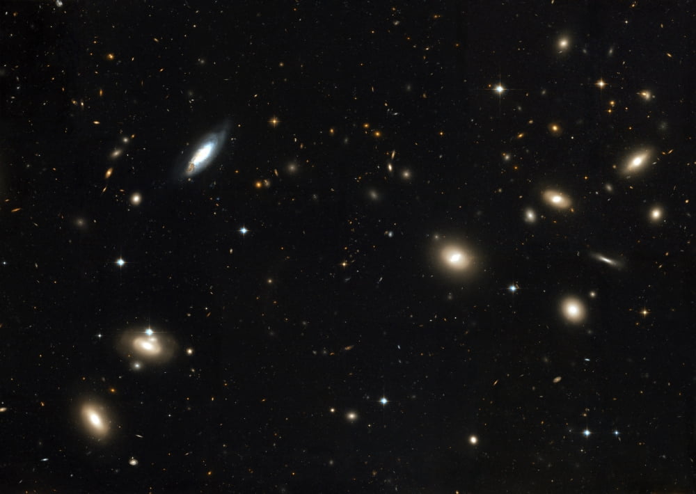 Coma Cluster of galaxies Canvas Art - Stocktrek Images (34 x 24)