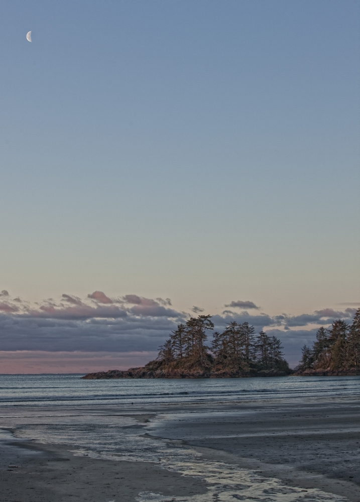 Combers Beach At Dawn Tofino British Columbia Canvas Art - Robert Postma Design Pics (11 x 16)
