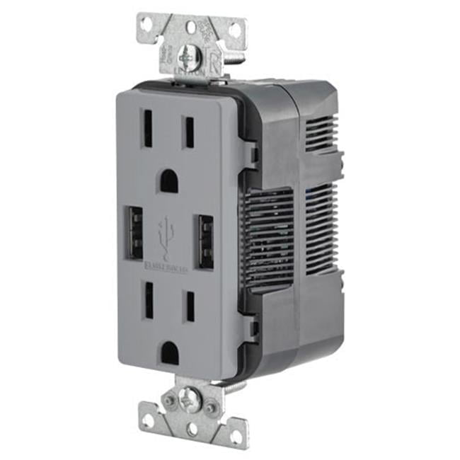 Gray Tamper-Resistant Duplex Outlet with USB Ports