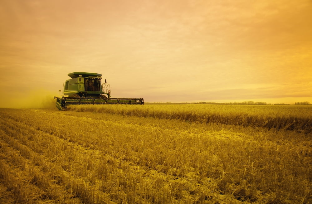 Combine Harvester Canvas Art - Darren Greenwood Design Pics (17 x 11)