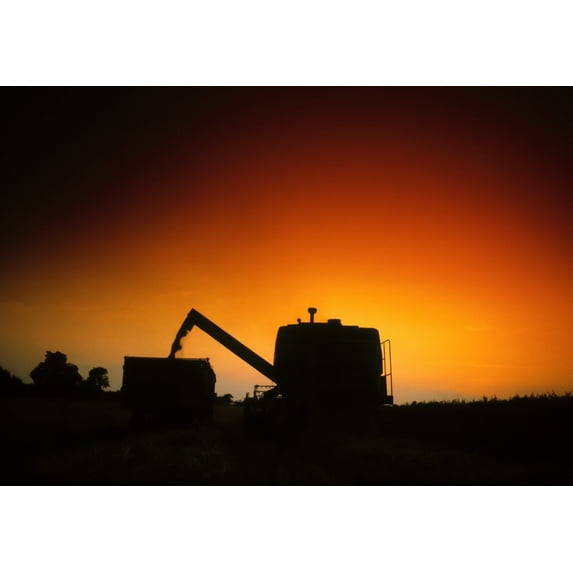 Combine Harvester, Ireland by The Irish Image Collection / Design Pics (16 x 11)