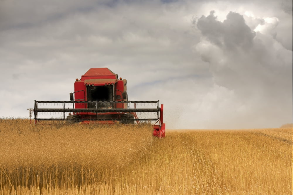 Combine Harvester North Yorkshire England Canvas Art - John Short Design Pics (19 x 12)