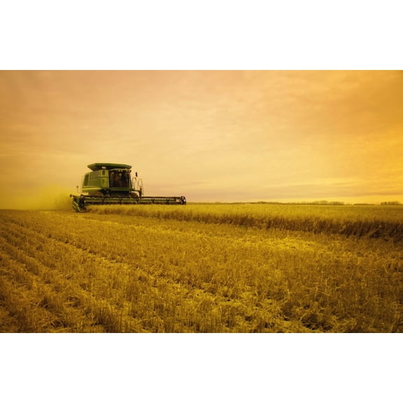 Combine Harvester Poster Print (34 x 22)
