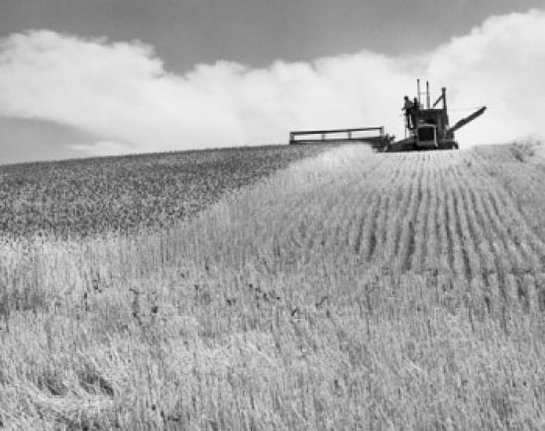 Combine harvester harvesting wheat crop Walla Walla Washington State USA Canvas Art - (18 x 24)