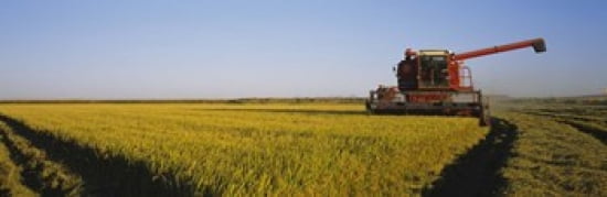 Combine in a rice field Glenn County California USA Canvas Art - Panoramic Images (36 x 12)