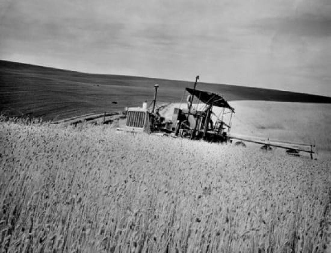 Combine in a wheat field Washington USA Canvas Art - (24 x 36)