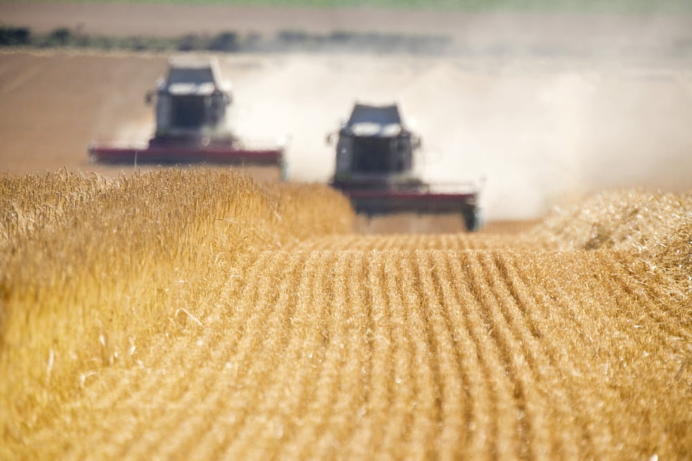 Combines Harvesting Field North Yorkshire England Canvas Art - John Short Design Pics (36 x 24)