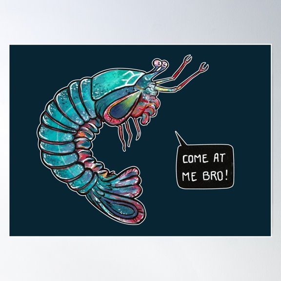Come At Me Bro! Poster Wall Art, Modern Wall Decor For Living Room Bedroom, 8x12 UNFRAMED