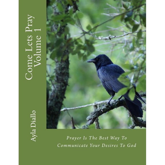 Come Lets Pray Volume 1: Come Lets Pray Volume 1: Communicate Your Desires To God (Paperback)